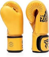 Guantes de Boxeo Muay Thai Fairtex Falcon BGV1 12oz – Amarillo
